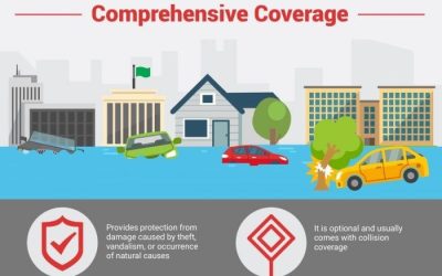 Auto-Owners Homeowners Insurance: Comprehensive Protection for Your Home and Vehicle